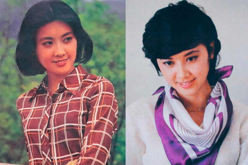 Theo Xinhua, thập niên 1980, vẻ đẹp Chu Lâm nức tiếng làng giải trí. Bên cạnh ngoại hình, bà được giới chuyên môn đánh giá tích cực diễn xuất qua các phim như Lê viên truyền kỳ, Kim phòng tử, Tránh xa thời đại chiến tranh...