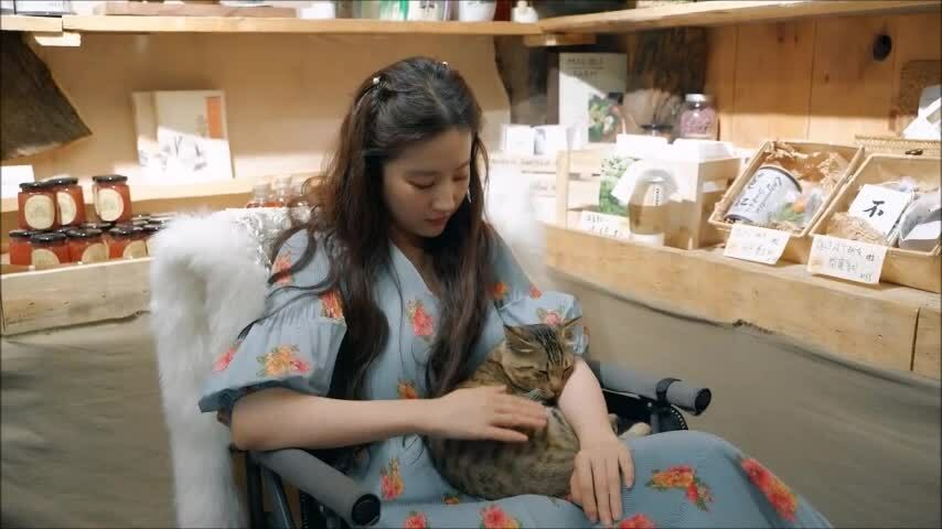 Lưu Diệc Phi: 'Tôi thoải mái khi ở bên mèo'