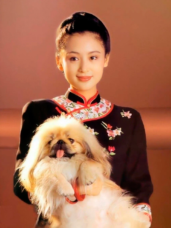 Dung mạo diễn viên đẹp nhất Trung Quốc qua thời gian - 11